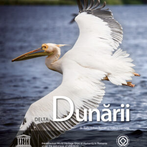 The Danube Delta