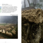 PATRIMONIO DE RUMANIA 11-11:CIUDADES PATRIMONIO