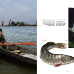 libro DELTA DEL DANUBIO revisado 16-10-09:CIUDADES PATRIMONIO